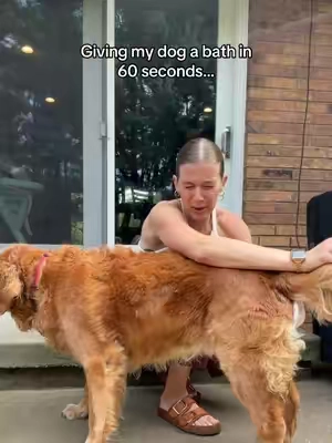 Best pet hack ever @HICC Pet US