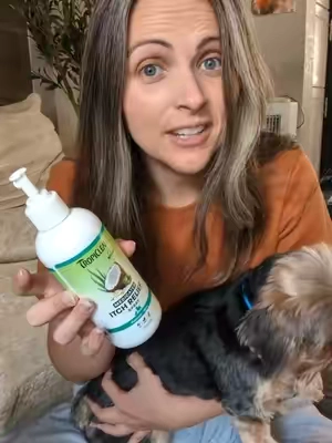 Tropiclean Aloe Oatmeal itch relief spray for your pets #tropiclean #itchyskin #petowners 
