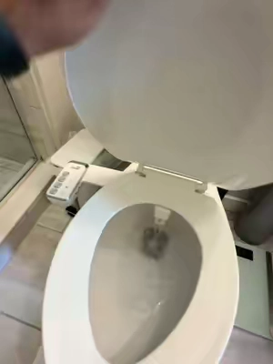 Lo siento pero no te limpias bien el * #Bidet #toilet #hygiene #CleanTok 