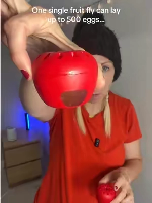 A single fruit fly can lay up to 500 eggs in her lifetime. That’s why I use these TERRO fruit fly traps to keep them under control in my kitchen. 