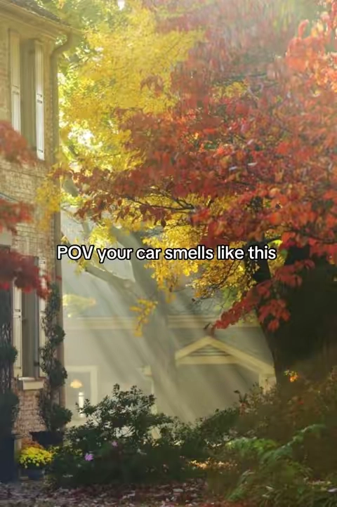 #fall #fallvibes 