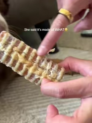This cleans my dogs teeth so well using a dog treat like beef trachea #healthydog #healthydogtreats #dogteeth #dogbone 