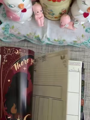 I wanted you! #TikTokShopCreatorPicks #TikTokshopbacktoschool #BackToSchool #planner #acotar 