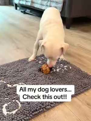 All my dog lovers… Check this out!! @Mighty Paw #mightypaw #dog #doglover 