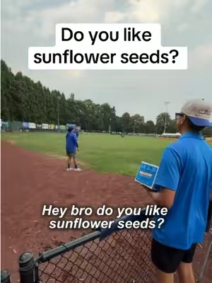 Do you like sunflower seeds? 