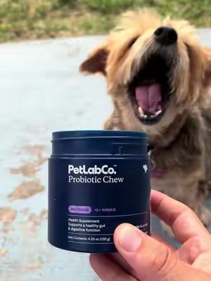 My dog showed all the red flags that she had am imbalanced gut, good thing I found these PetLab Co Probiotic Chews #dogguthealth #doggutsupport #dogimbalancedgut #dogprobiotic #probioticchewsfordogs 