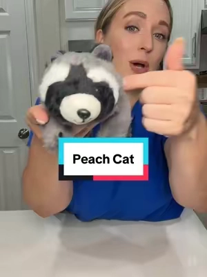 I’ve been influenced. The @PEACHCAT raccoon plushie is a 10/10. Soft, perfect size, and he smells so good! #peachcat #stuffedanimal #plushie #giftsforkids #backtoschool 