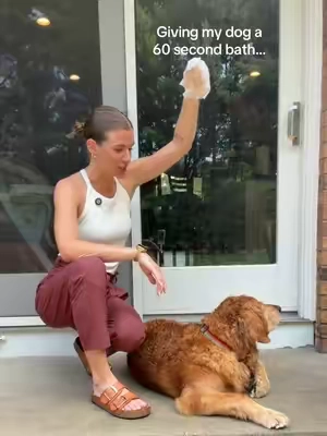 Genuinely my favorite pet hack ever..👀🛁 @HICC Pet US 