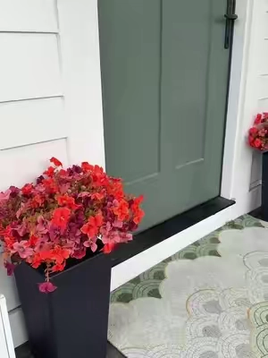 I love a plant that I know I won’t kill lol 😂