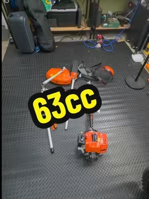 7672918303555259662