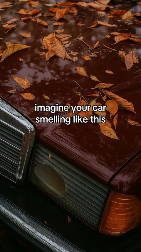 7672923758931266830