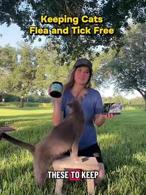 Flea and Tick Collars for Cats . Safe for your cat and up to 8 months of protection against fleas , ticks ,mosquitoes , lice and mites #cats #catproducts #fleas #ticks #catproducts 