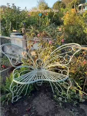 Taking my butterfly patio chair into the wild 🦋🪑💐