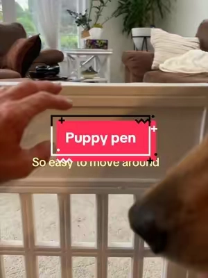 #puppypen #dogcrate #dogowner #TikTokshopbacktoschool #tiktokshoplabordaysale 
