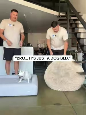 My dog is officially sleeping better than me. #dogbed #orthopedicdogbed #wearedogfriendlyco #seniordog #dogparents 