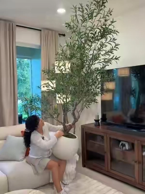 El más bello y frondoso de los olivos , su maceta es tan elegante y bonita  Lo tienen disponible con maceta blanca y con una maceta más pequeña , todas sus hojas lucen tan realistas y sus olivos tienen diferentes tonalidades  Árbol de olivo para la decoración del hogar  #olivetree #artificialolivetree #homedecor #BackToSchool #tiktokshopcreatorpicks 