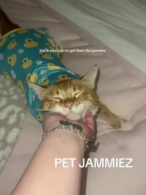 I didn’t think he could get any cuter…I was wrong. #petpajama#cat#cats#catsoftiktok#catmom 