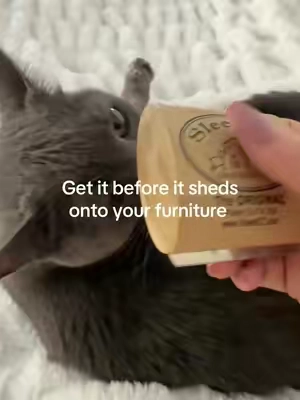 Love her but not all the fur #tiktokshopbacktoschoolsale #backtoschool #catbrush #petgrooming #catmom 