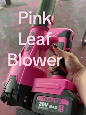 Free shipping TANLOOK Cordless Portable High-Power Electric Leaf Blower - 580 CFM, 160 MPH, 2×4Ah Batteries Included, Adjustable Speed - High Airflow for Leaves & Snow - Ideal Garden Tool for Autumn/Winter Care HC3 #tools #pinktools #leafblower #TikTokshopbacktoschool  #CleanTok 