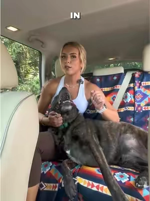 You can bundle & save, or get one solo!!!! All available on our shop 🧡🫶🥹🐾 #summeressentials #dogmom #sportsmom #caressentials #carseatcover  car seat cover towel post workout car seat cover sweat proof seat cover gym towel for car runners car seat cover after workout waterproof car seat protector fitness accessories for runners gym accessories athletes running accessories sweaty workout solution car seat protection towel machine washable seat cover universal car seat cover runner essentials marathon training accessories car interior protection workout recovery essentials tiktok viral car seat cover towel gift for runners gym goers athletes Sprints running car seat towel