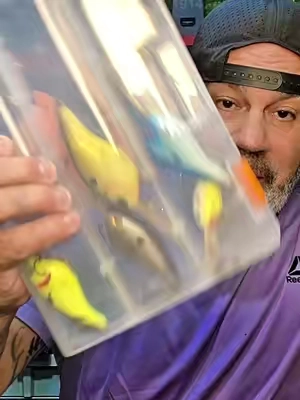 Beyond Braid Waterproof Tackle Box @Beyond Braid #tacklebox #fishing #fishinggear #bassfishing #beyondbraid 