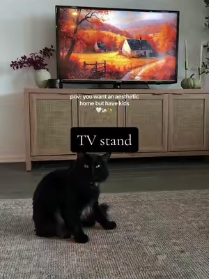 Get a tv stand that hides all the toys, clutter, blankets, etc.  #tvstand #entertainmentcenter #toystorage  #furniturefinds #cozyhome