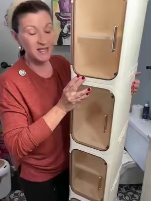 These tall narrow cabinets fit into tight spaces, have lockable wheels, have an optional inner shelf, clear door closes magnetically, and helps clear that counter clutter! #storagesolutions #storagecabinet #homeorganization #tiktokshopcreatorpicks #TikTokshopbacktoschool @ONAIL HOME 