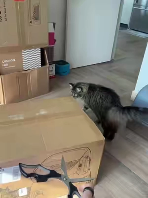 7673626776567958815