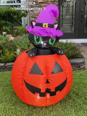 these sell out every year and don’t always restock! #halloweendecor #halloweeninflatables #blackcat #BackToSchool #sohochic 