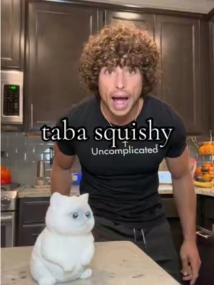 I love cats more in squishy version #squishy #tabasquishies #squish #squishies #toys 