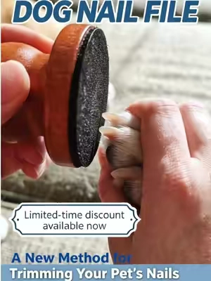Don't forget to trim your dog's toenails.#summerwins #pethealth #nailfile #petlover #dog 