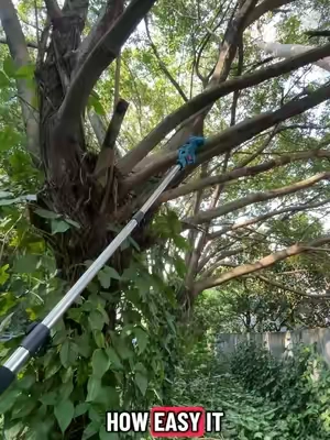 Tree trimming is my favorite part now!#yardwork #polesaw #gardening #toolset #gardenproject 