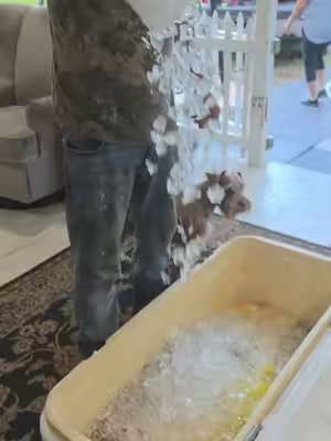 Si quieres una maquina de hacer Hielo está es super buenas #vevor #hielo 