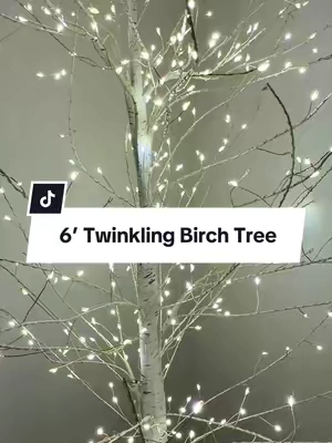 The viral 6 ft twinkling white birch tree 🤍✨ Perfect for Christmas decor, cozy bedroom decor, holiday decorating or year-round ambient lighting. The adjustable branches make it so easy to style, and it’s absolutely gorgeous lit up at night. #BirchTree #LightedBirchTree #ChristmasDecor #HolidayDecor #HomeDecor 