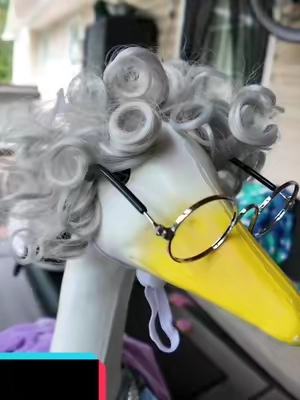 Goose Statue Costume #PorchGoose #GooseOutfit #PorchDecor #FunnyDecor #HomeDecor