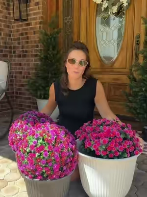 I can not keep mums alive to save my soul, I waste my money every year! So I got fake ones this year & they are just as pretty, but zero maintenance! #mums #fauxflowers #porchdecor #homefinds #falldecor 