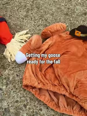 Get your Goose her fall wardrobe-quick, easy and cute #porchgoose #halloween #thanksgivingvibes 