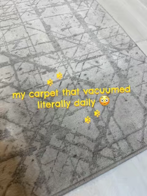 Swipe through to see what was hiding in my carpet #sharkcarpetxpert #carpetcleaning #TikTokshopbacktoschool #tiktokshopcreatorpicks #carpetcleaner 