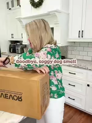 Drying a thick-coated dog after bath time is a whole job! This VEVOR dog dryer makes it so much quicker and easier—and Hunnie looks like she just left the groomer. 🐾 #tiktokshopcreatorpicks #TikTokshopbacktoschool #dogmom #doggrooming #petgrooming 