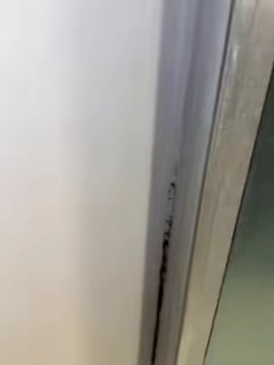 #cleaning #CleanTok #moldremover #bathroom #cleanshower 