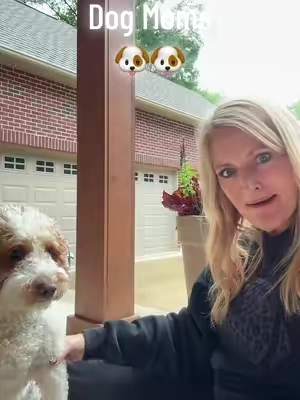 A must have for dog moms! Click the shopping link to order! #muddymitt #muddymat #dogsoftiktok 