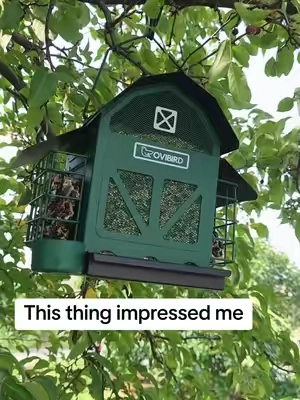 By far my favorite bird feeder. #birds #birdwatching #birdfeedertok #TikTokshopbacktoschool #homestead 