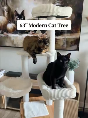 Such a cute & aesthetic cat tree 😍 and my cats love it! #cattree #catfurniture #cats #cattower #aestheticcattree 
