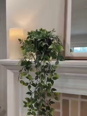 Upgrade your shelf aesthetics and room greenery with this 2-piece artificial vine set today!#fauxplants  #ArtificialPlants  #HangingPlants #RoomReset  #MensEssentials 