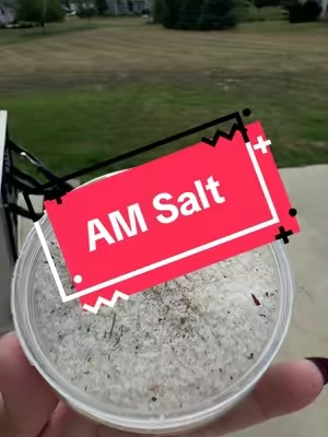 @am. SALT Flake salt, sea salt, paprika, onion, garlic, red pepper flake, & herbs. One seasoning for multiple dishes is all you need. So good! #amsalt #flakeysalt #seasoning #tiktokshopcreatorpicks #tiktokshopfind 