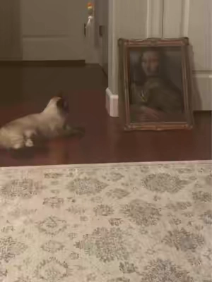They love their new Mona Lisa! #cats #catlover #catsoftiktok #catscratcher #cattok 