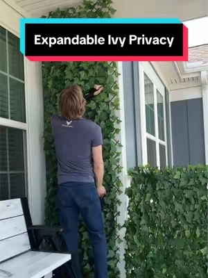 So easy 💯 #privacyfence #privacy #backyard #homehacks #ivy