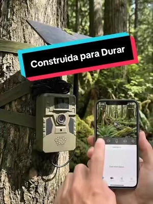 Probé muchas cámaras baratas antes, pero se dañaban rápidamente bajo el sol y la lluvia. Esta cámara solar duradera es totalmente diferente. Está hecha para durar temporada tras temporada. #deerhunting#trailcam#gamecamera#TikTokshopbacktoschool#hunting csq 