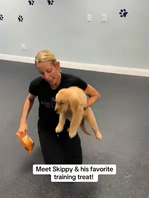 Meet Skippy & his favorite training treat! @Zesty Paws #zestypaws #dogs #dogsoftiktok 