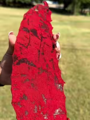 Spicy Red Crunchy Beef Jerky 🔥  #elranchitojerky #fyp #carneseca #beefjerky 